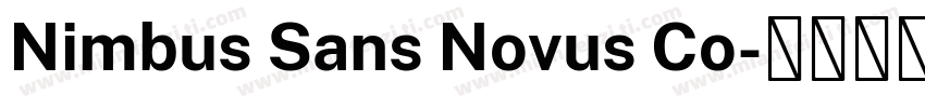 Nimbus Sans Novus Co字体转换